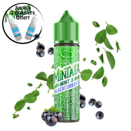 Mint Blackurrant 50ml – Mintaïa