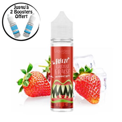 Freeze Grosse Fraise 0mg 50ml – Liquideo Freeze