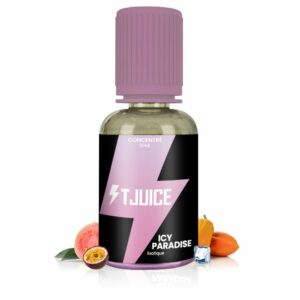Icy Paradise 30ml - TJuice
